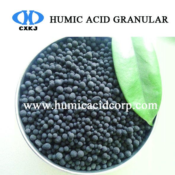 HUMIC ACID POWDER AND GRANULE FROM NATURAL LEONARDITE MINE 