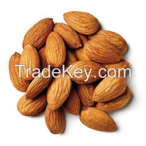 Grade A Almond Nuts / Almond Kernel / Raw Bitter and Sweet Kernels