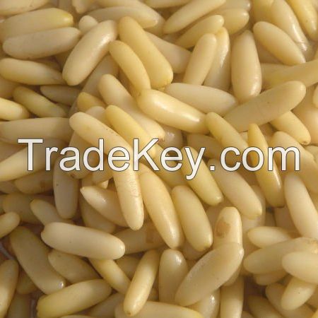 Wholesale  Fresh Pine Nuts / Dried Pine Nuts 