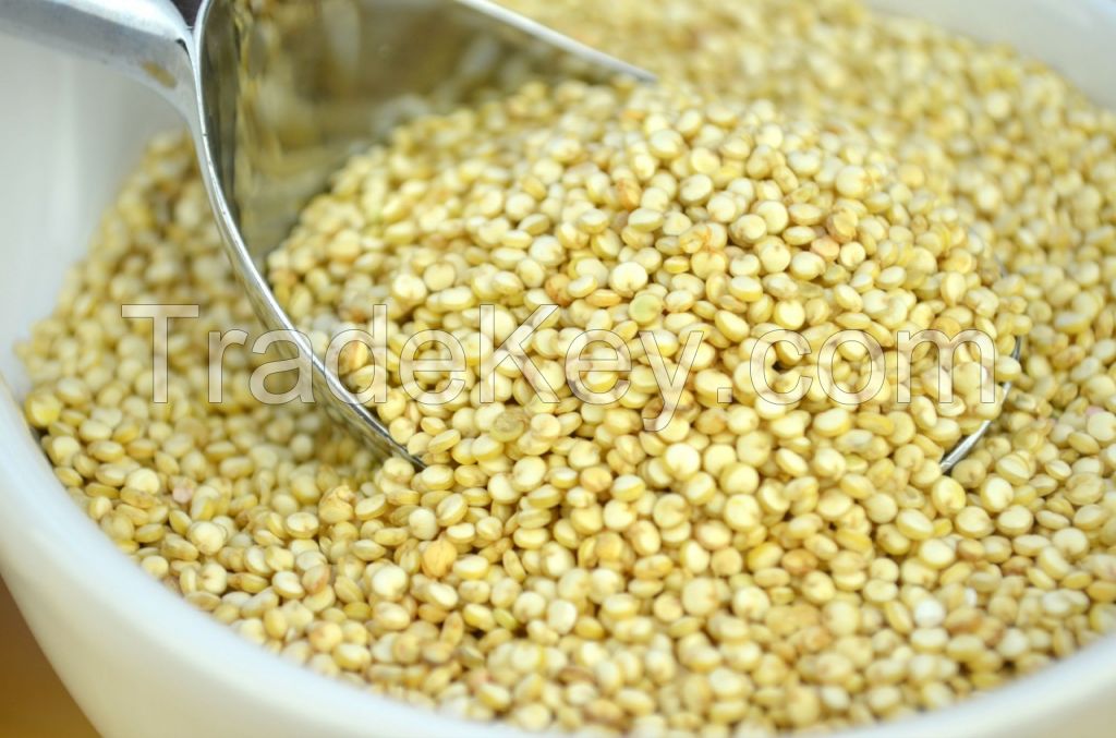 High Protein Organic Quinoa For Sale