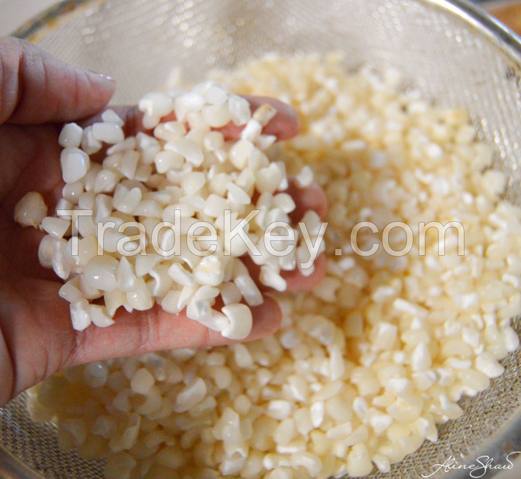 Top Quality White Maize / White Corn available at good rates