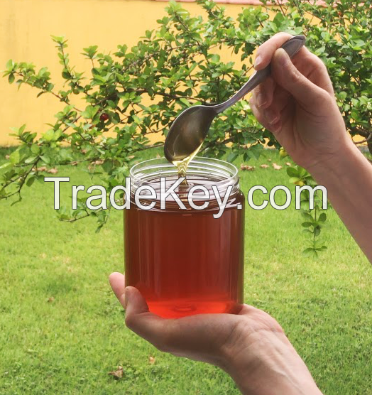 Bulk Raw Organic Honeydew Honey