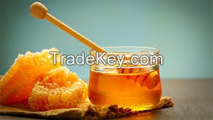 Bulk Raw Organic Honey