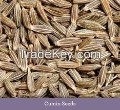 Coriander Seeds