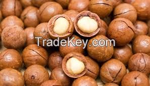 Hazelnuts