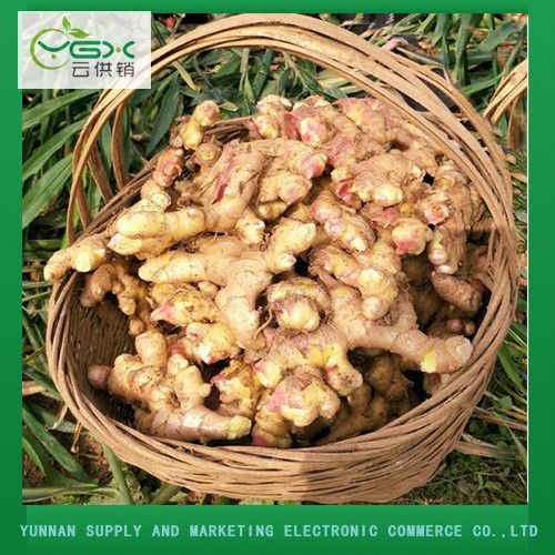 Organic Fresh Yellow Ginger