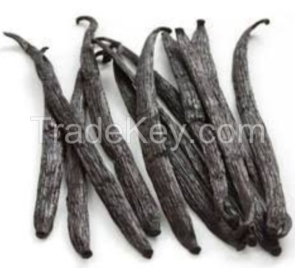 Cardamom 