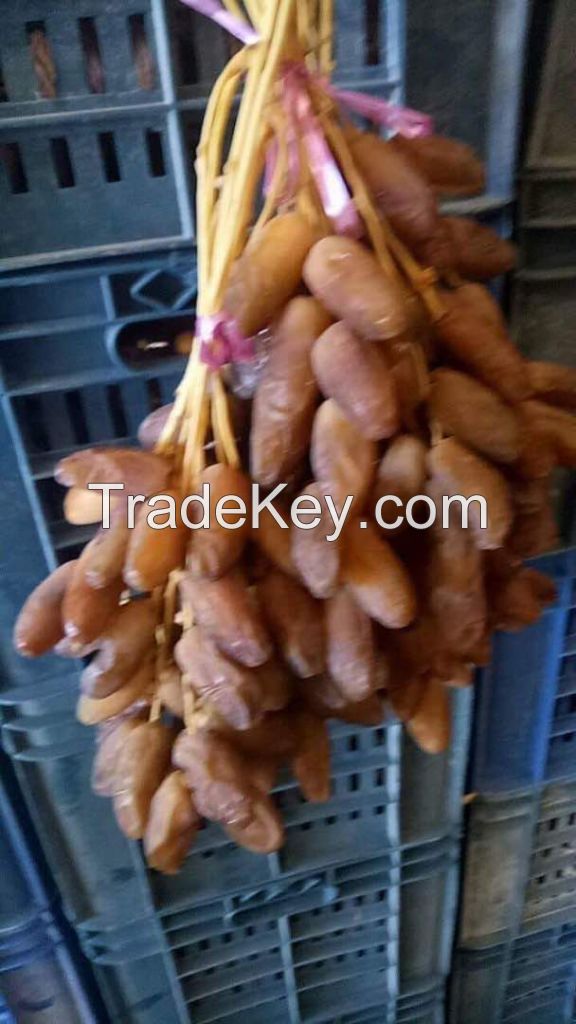 Deglet nour  fresh algerian dates