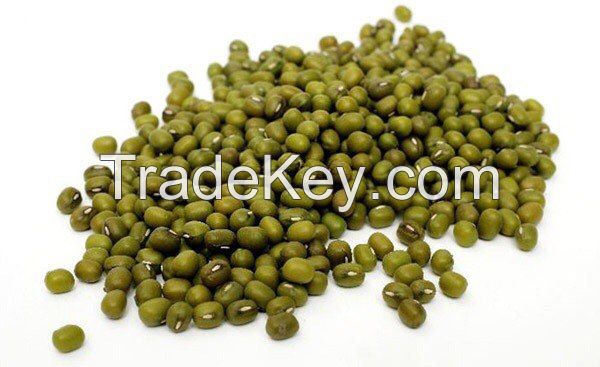 Mung Beans 