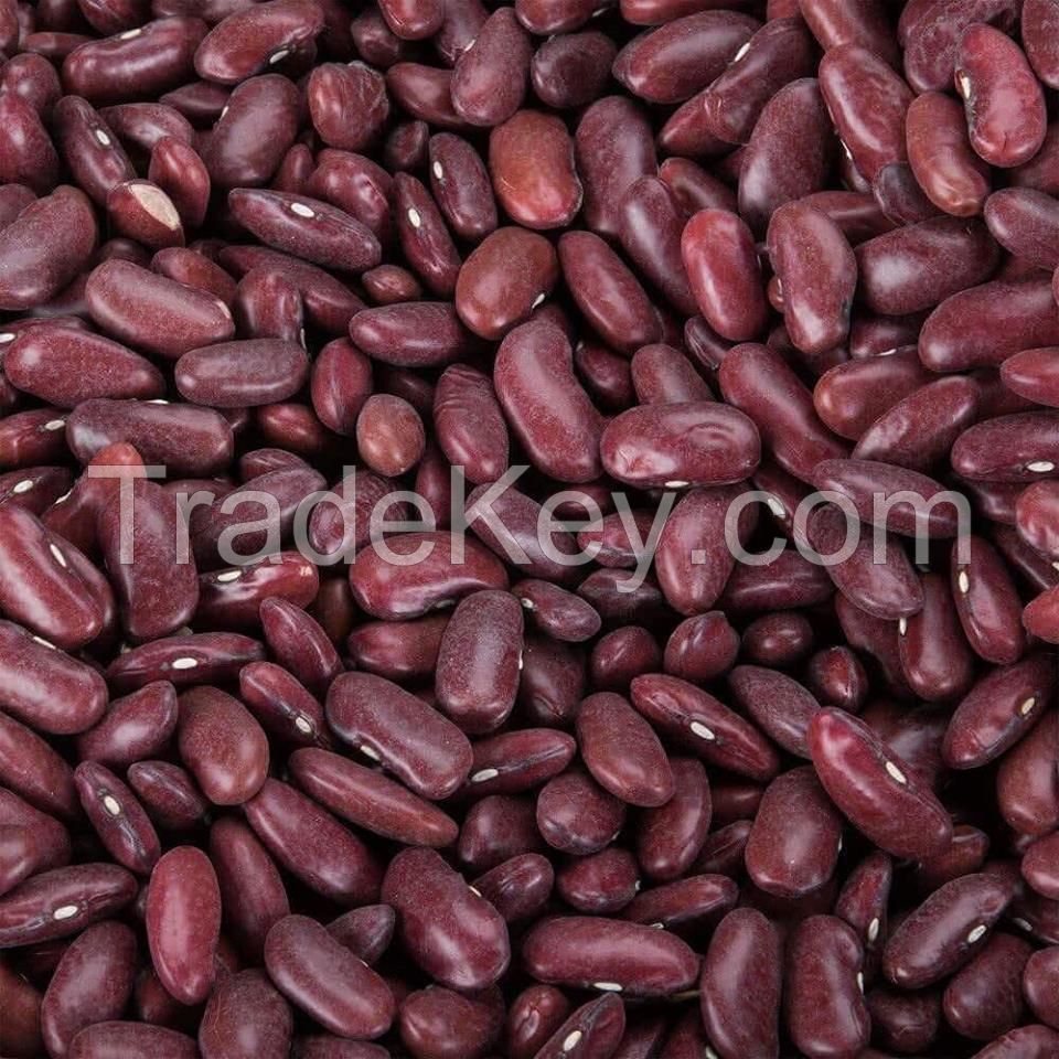 Kidney beans, Black beans, butter, chickpeas, cocoa, broad, Lentils, Lima, Mung, Vanilla, Soybeans, vigna, peas