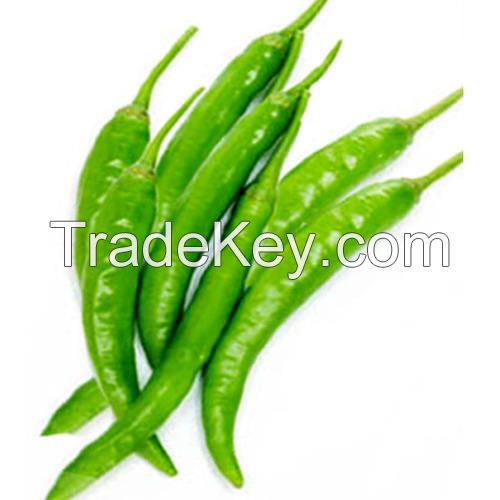 Fresh Green chilli