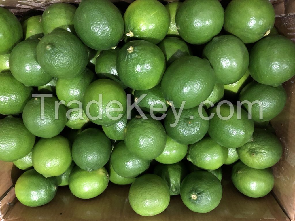 Fresh seedless Lime & Fresh green Lemon 