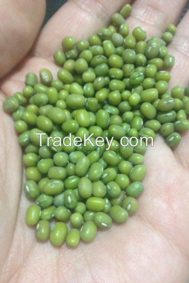 Green mung beans