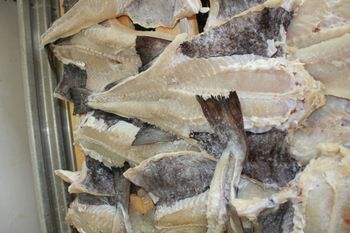 WET SALTED COD FISH