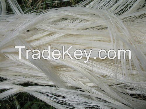 sisal fibers 