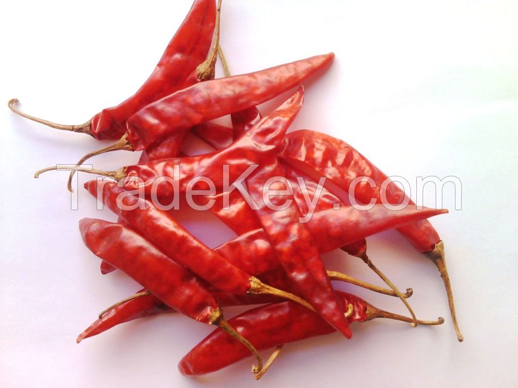 Dundicut Whole Chilli,Dry Red Chilli Dundicut Whole Round Stemless Chilli 