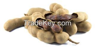 Indian Tamarind