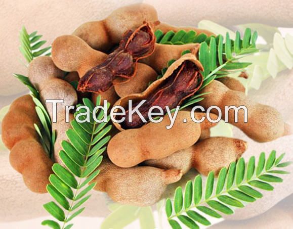 Indian Tamarind