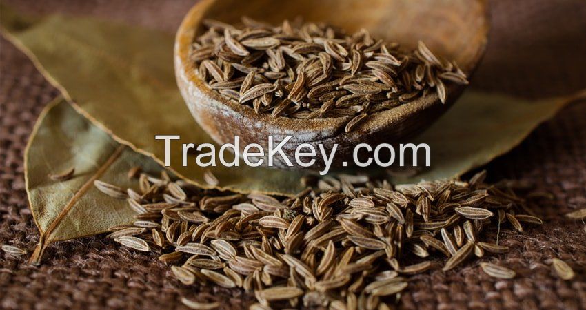 Indian Cumin Seeds