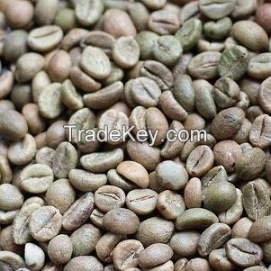 Robusta Raw Coffee