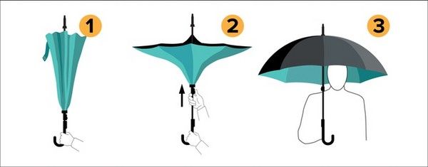 umbrella