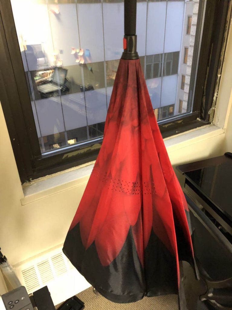 umbrella