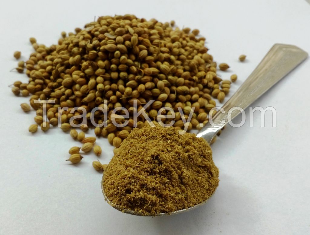 Best Quality Coriander Seed Powder From India