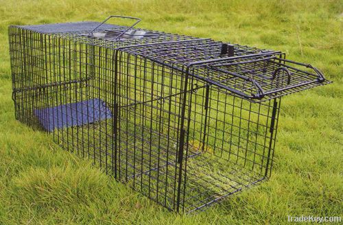 Live Animal Trap