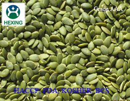 Organic Shine Skin Pumpkin Seeds, 11mm-12mm, Chinese Edible Seeds Inshell