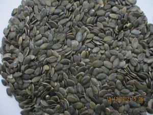 Organic Chinese Gws Pumpkin Seeds Kernels, Grown Without Shell