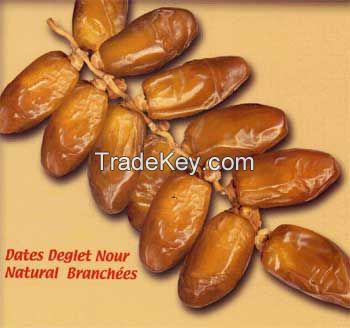 Dates deglet Nour