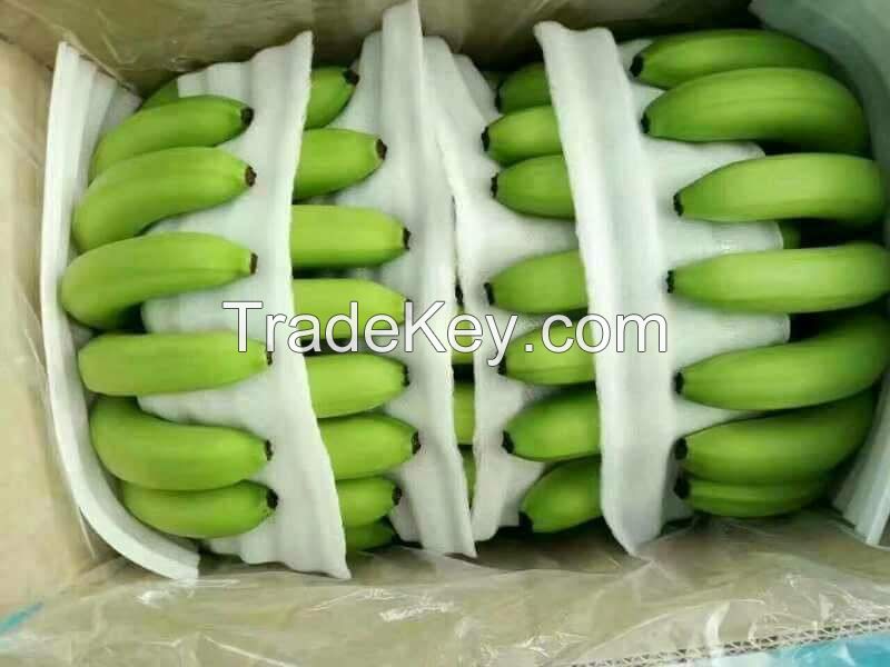 FRESH SWEET CAVENDISH BANANAS FOR SALE 