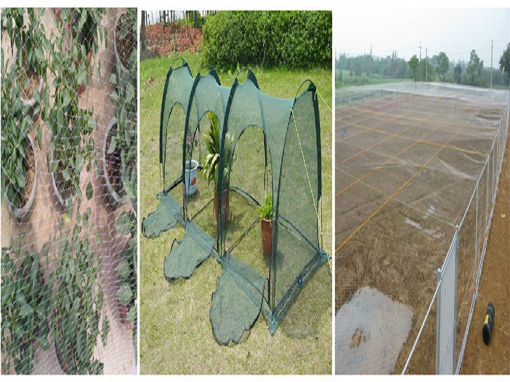 Anti bird net | bird net | bird stretch net