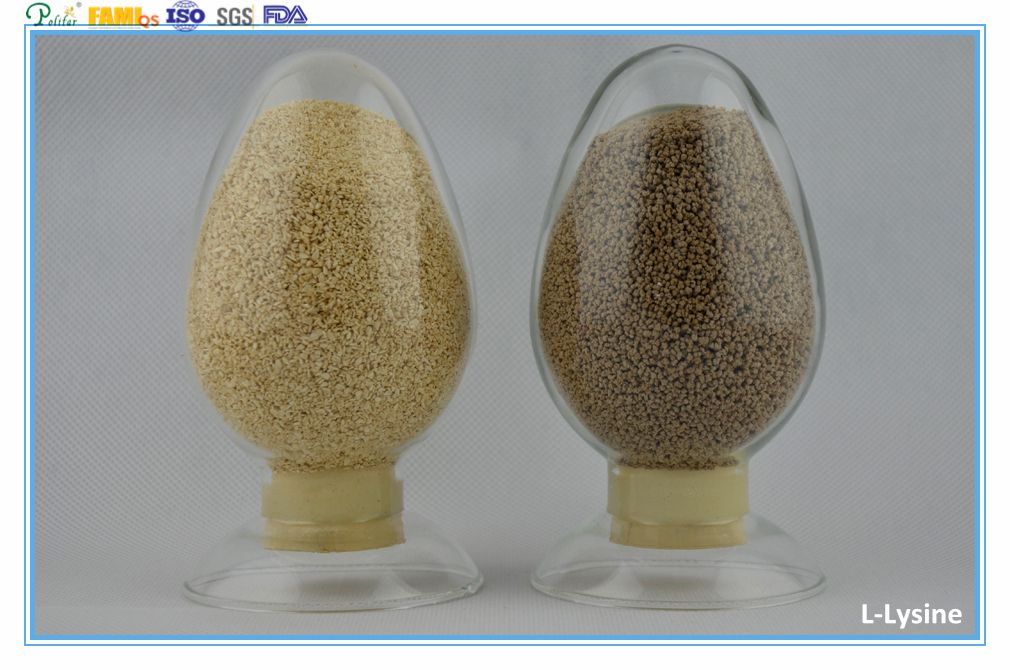 98.5% Lysine HCl Feed Additives