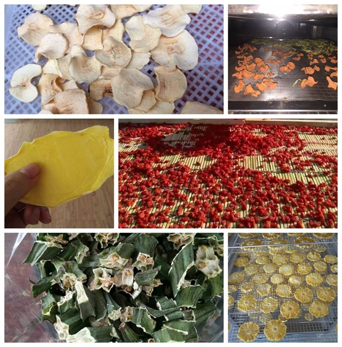 Industrial use vegetable drying equipment/dehydrated fruits oven 