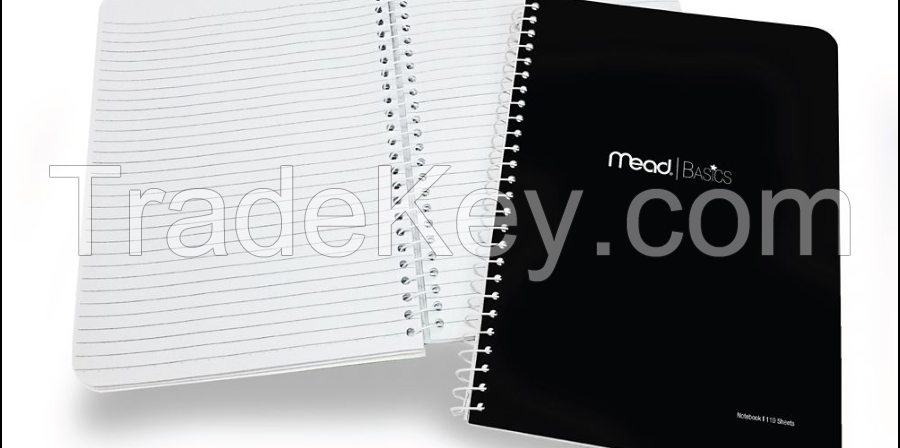 MEAD BASICS NOTEBOOK