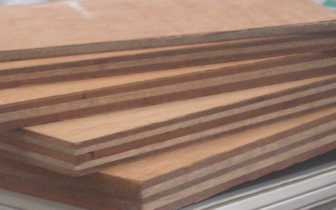 eucalypti plywood