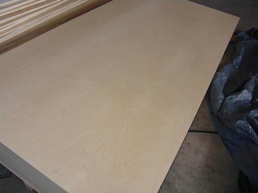 Birch plywood