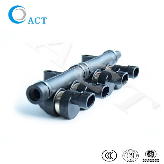 CNG LPG Injector Rail for Car Fuel Gas Common Injector 4cylingder, 6 cylinder, 8 cylinder