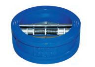 Dual Plate Check Valve