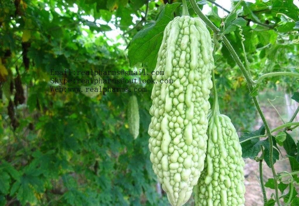 Bitter Melon Extract(Akuamma powder )