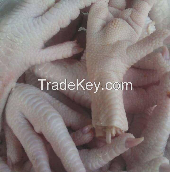 Halal Fresh Frozen Processed Chicken Feet , chicken Paws Grade A Brazil chicken paws and paws