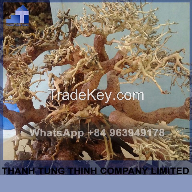 Bonsai Driftwood Supplier For Aquariums