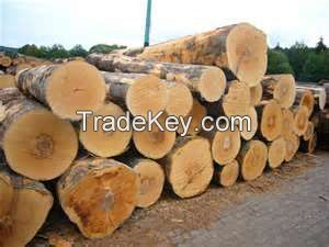 Teak Logs