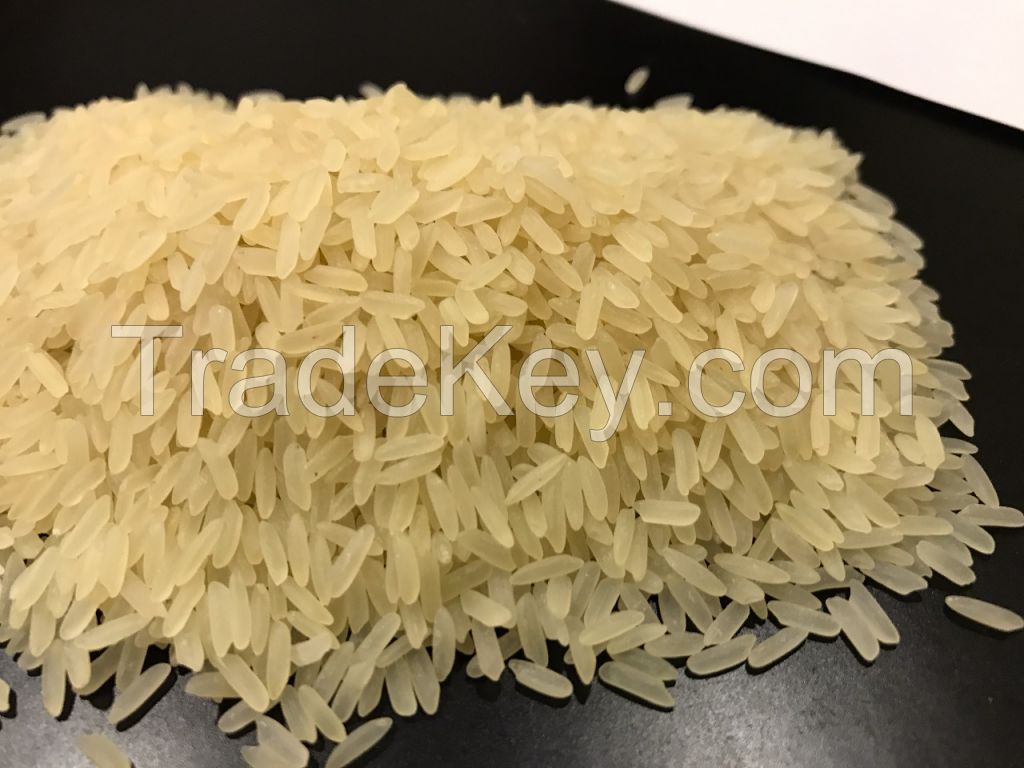 IRRI-6 rice