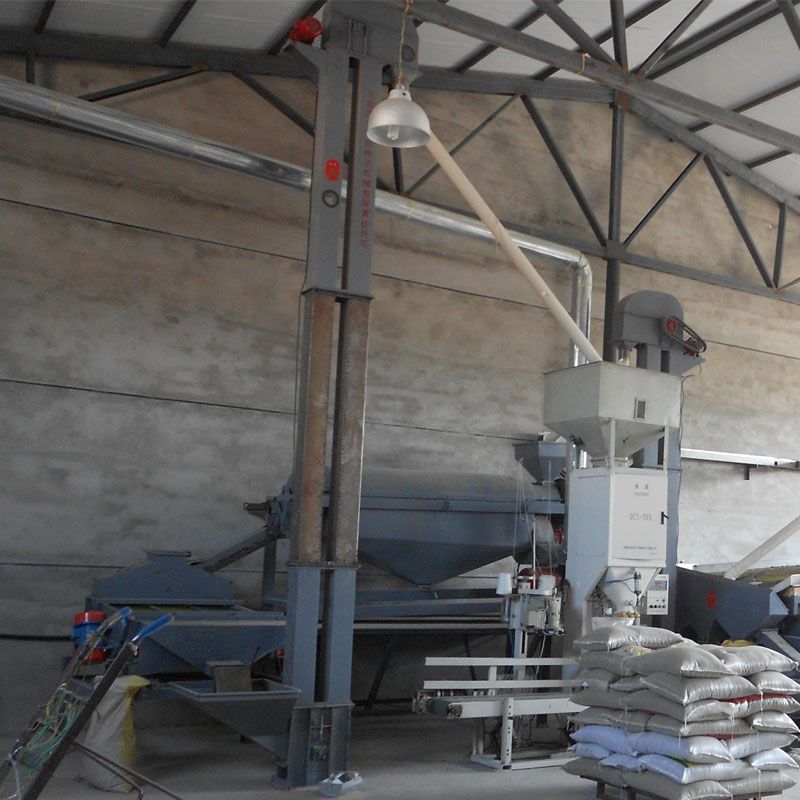 Mung bean seed processing line