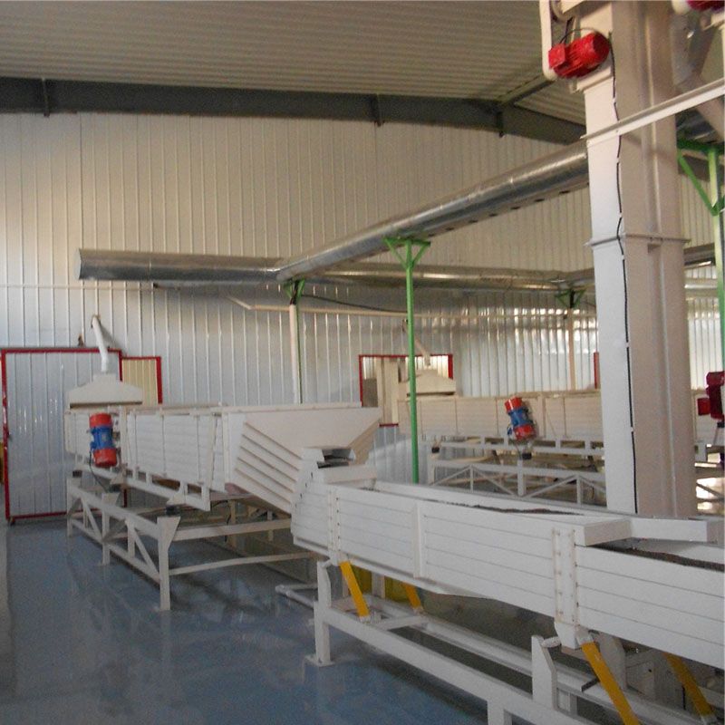 Buckwheat processing line