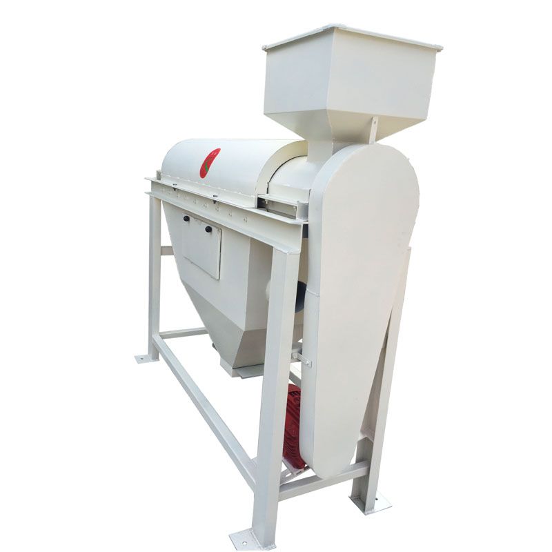 Seed polishing machine