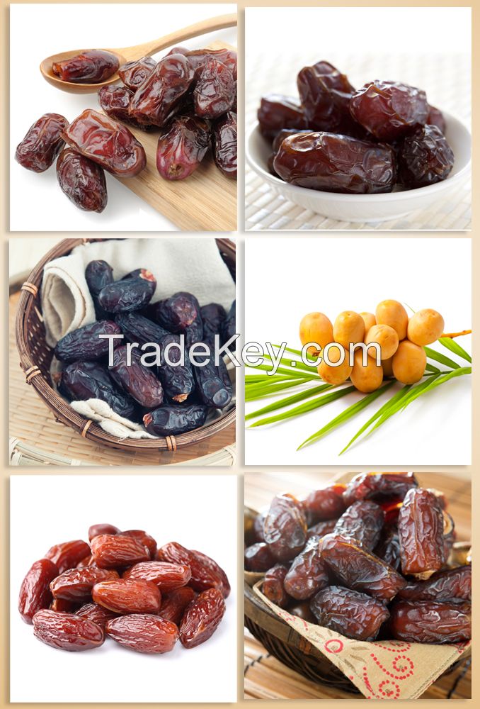 Makkah Dates