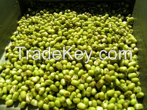 Mung bean from Vietnam High quality